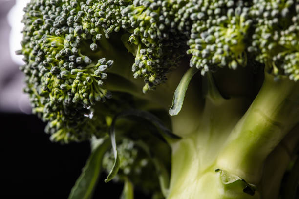 istock Brockoli cabbage in the form of a green tree on a black background 1346429665