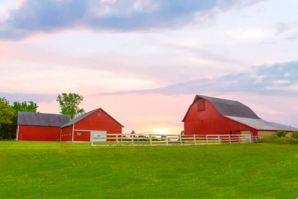 istock Barn- Family Farm-Clinton County Indiana 1346432400