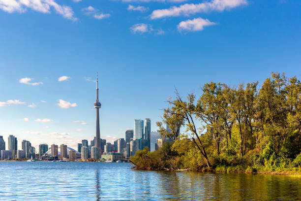istock Toronto skyline in a sunny day 1346432581