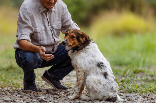 istock Senior Man and His Dog During Their Daily Walk 1346434018