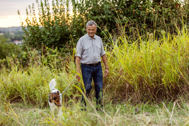 istock Senior Man Walking His Dog 1346434022