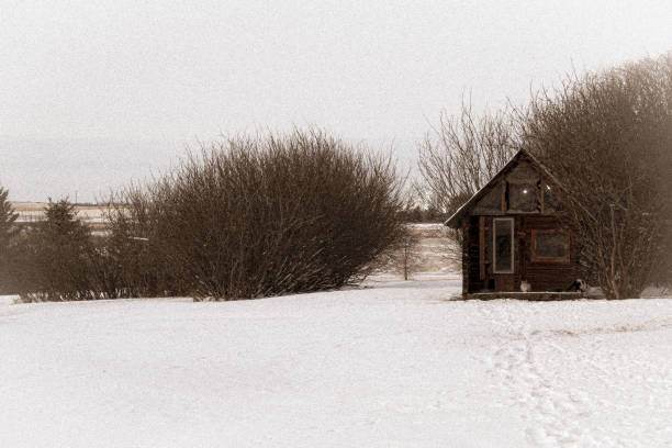 Run down and falling over shack on old farm.  No door, no windows.