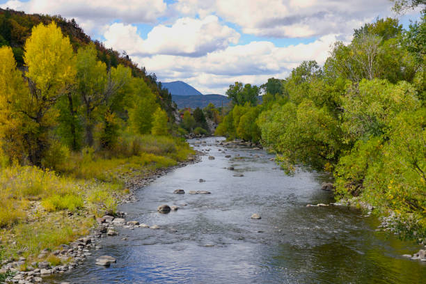 Yampa River flowing through Steamboat Springs Colorado Section of the Yampa river lined by trees with autumn colors under a sky filled with clouds steamboat springs photos stock pictures, royalty-free photos & images