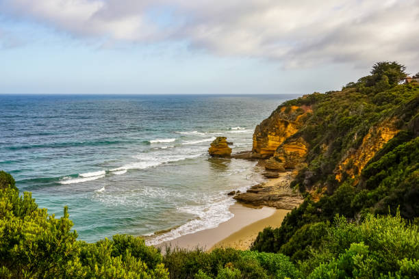 istock View of the Ocean in Australia over some plants. 1346439608
