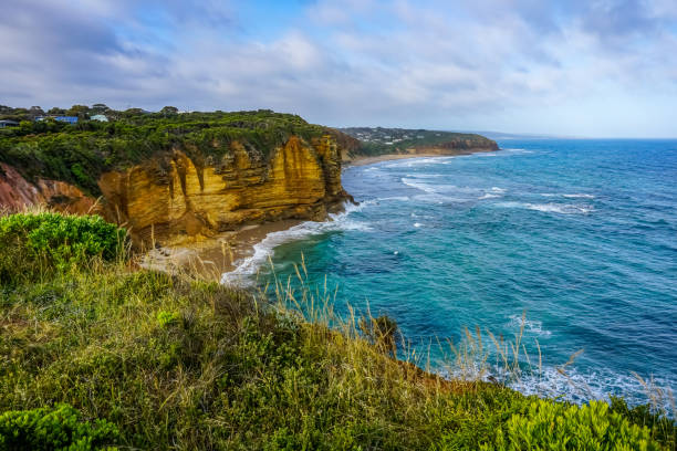istock View of the Ocean and cliffs in Australia over some plants. 1346439661