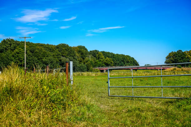 istock A gate to a meadow by the water. 1346441969