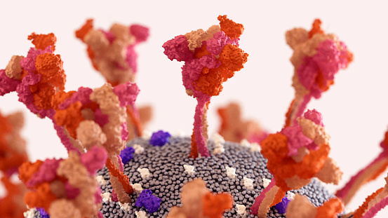 Coronavirus, proteína espiga del SARS-CoV-2 tremendamente flexible. Las espigas se balancean y giran para escanear la superficie celular y unirse a una célula humana. photo