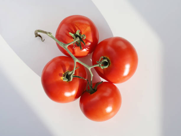 istock Red ripe tomatoes on branch with shadow on white background 1346444486