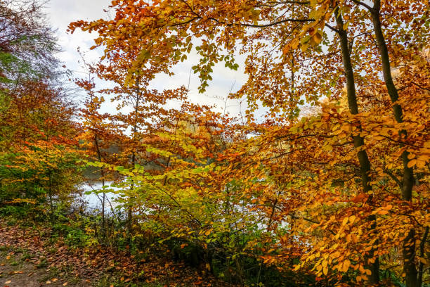 istock A beautiful lake in Germany, also called 
