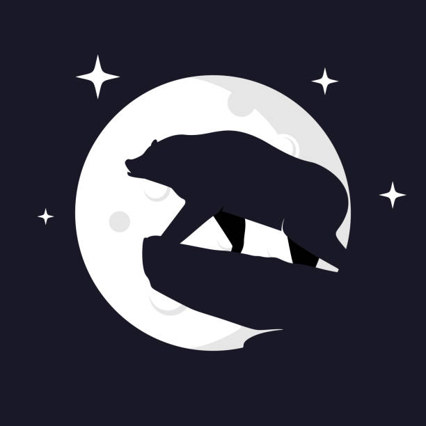 istock Illustration Vector Graphic of Grizzly Bear with Moon Background 1346450717