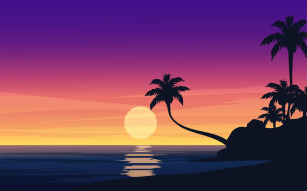 Sunset In Tropical Island Stock Illustration - Download Image Now - Beach,  Island, Sea - iStock