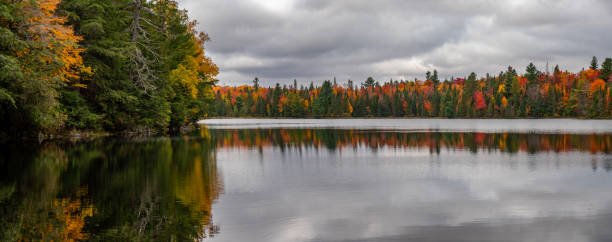 Peck Lake Trail in Fall colors, Algonquin Provincial Park, Ontario, Canada Ontario, Canada. huntsville ontario stock pictures, royalty-free photos & images