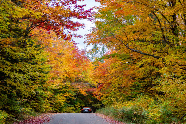 istock Fall colors at Pathfinder Island and Source Lake, Algonquin Provincial Park, Canada 1346453533