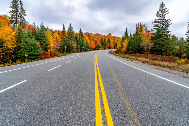 istock Fall colors Algonquin Provincial Park, Ontario, Canada 1346453713