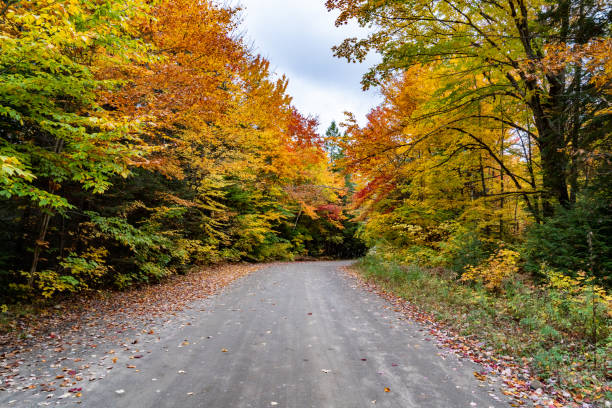 istock Fall colors at Pathfinder Island and Source Lake, Algonquin Provincial Park, Canada 1346453972