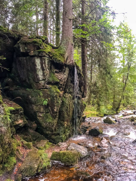 istock A river with a small waterfall through the Black Forest in Germany. 1346454001