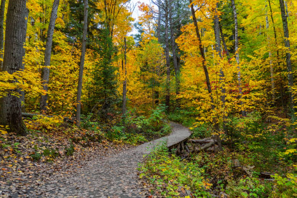 Ontario, Canada.