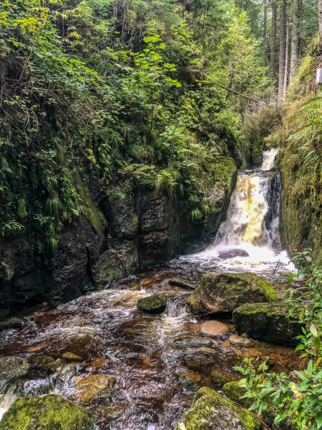 istock A waterfall in the Black Forest in Germany. 1346454683