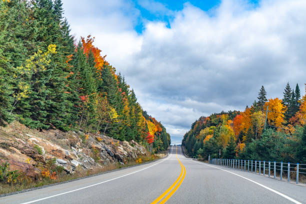 istock Fall colors Algonquin Provincial Park, Ontario, Canada 1346455633