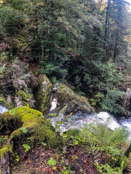 istock A waterfall in the Black Forest in Germany. 1346457500