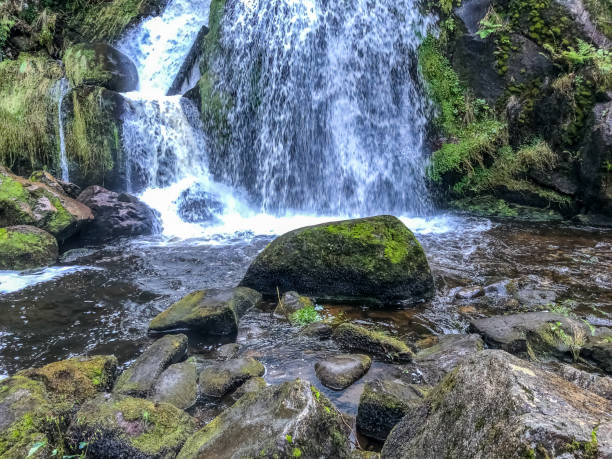 istock A waterfall in the Black Forest in Germany. 1346457757