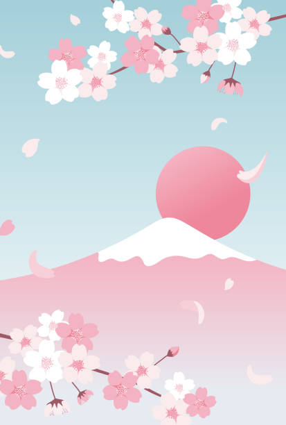 Vector Background With Cherry Blossoms And Mt Fuji For Banners Cards Flyers  Social Media Wallpapers Etc Stock Illustration - Download Image Now - iStock