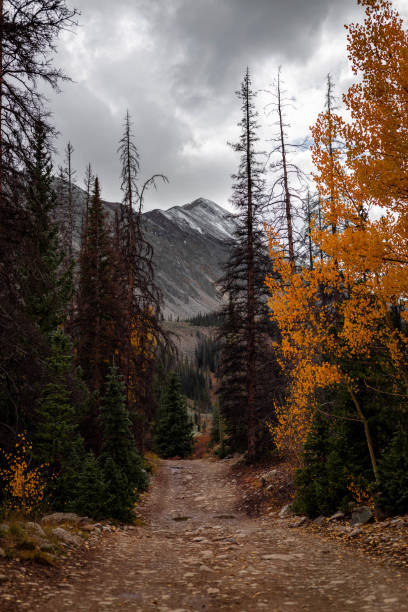 istock Autumn Glow in Colorado 1346458755