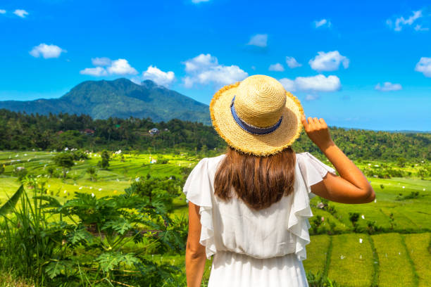 istock Rice terrace field on Bali 1346458889