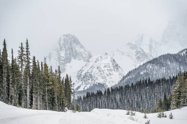 istock Kananaskis Country 1346460913