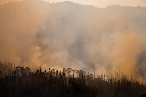 istock Wildfire on Swan Lake, Alaska #2` 1346461580