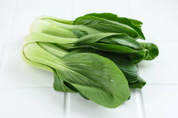 organic and fresh bok choy or pak choi or pakcoy (brassica rapa subsp. chinensis) vegetables. - brassica rapa chinensis imagens e fotografias de stock