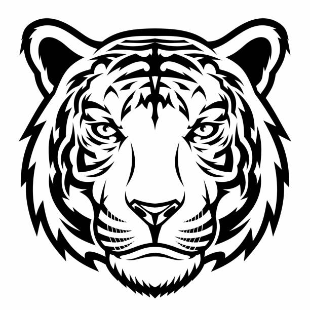 Tiger, wild big cat head. Vector illustration for use as print, poster, sticker, logo, tattoo, emblem and other. tiger mascot stock illustrations