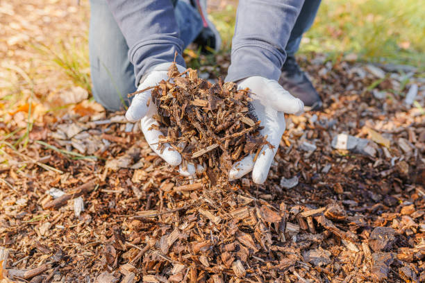 istock Composting organic waste for soil enrichment 1346470739