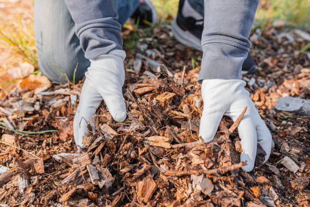 istock Composting organic waste for soil enrichment 1346470780