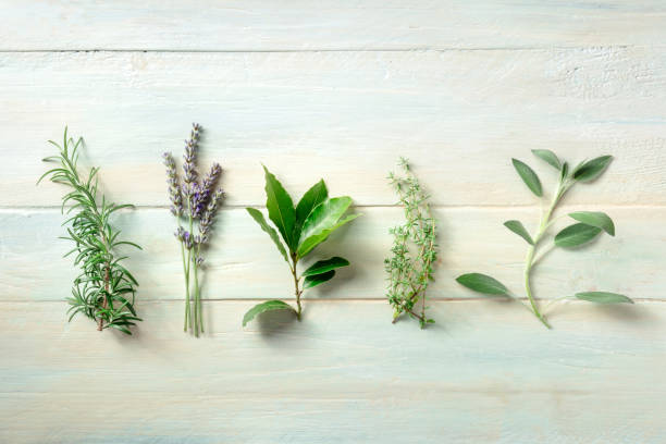 istock Fresh aromatic herbs, overhead flat lay shot on a wooden background 1346473063