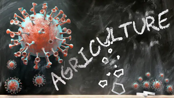 Photo of Covid and agriculture - covid-19 viruses breaking and destroying agriculture written on a school blackboard, 3d illustration