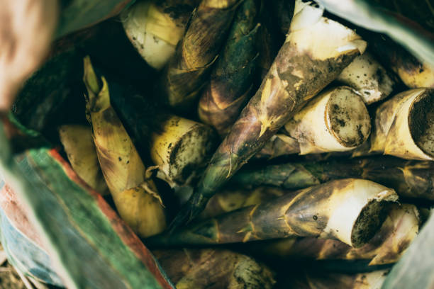 Piles of bamboo shoots