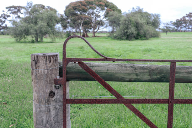 istock vintage rustic iron farm gate in field 1346476249