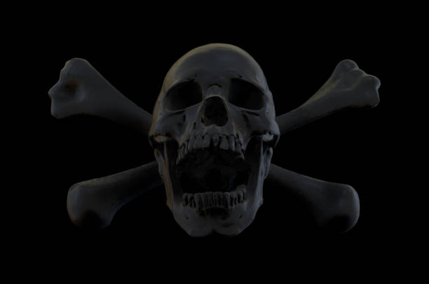 istock Human Anatomical skull full face on crossbones. 1346477179