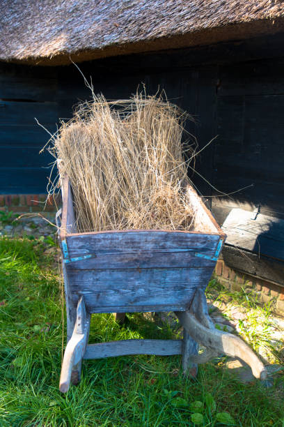 istock Old wooden wheelbarrow with straw in on grass in courtyard 1346479080