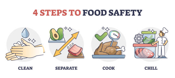 ilustrações de stock, clip art, desenhos animados e ícones de haccp food safety steps for meeting quality standard outline diagram - food safety