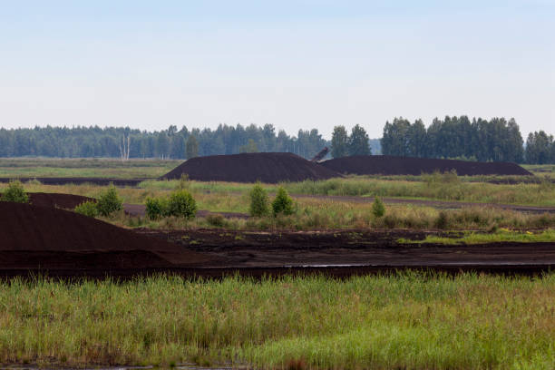 istock the flooded area where peat is extracted 1346480155