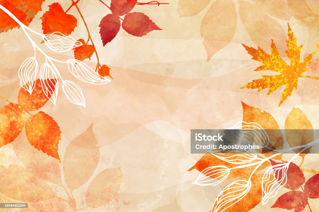 Autumn background watercolor painting, maple leaves in red and yellow, painted fall leaves and floral botanical design elements on border texture. Wedding invites or website header abstract art Autumn background watercolor painting, leaves in red yellow and white abstract minimal outline design, painted fall leaves and floral design elements on border texture. Wedding invites, thanksgiving background Thanksgiving - Holiday Stock Photo