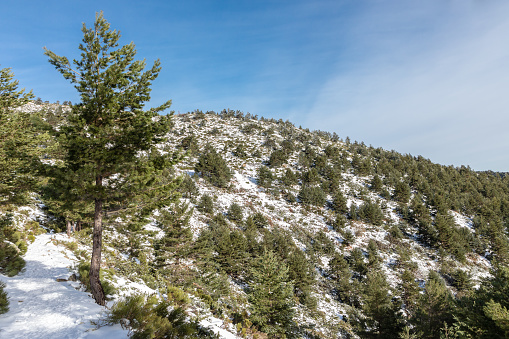 surroundings of the Lagunas de Peñalara covered by snow and ice in the mountains of the Sierra de Guadarrama, Madrid, Spain