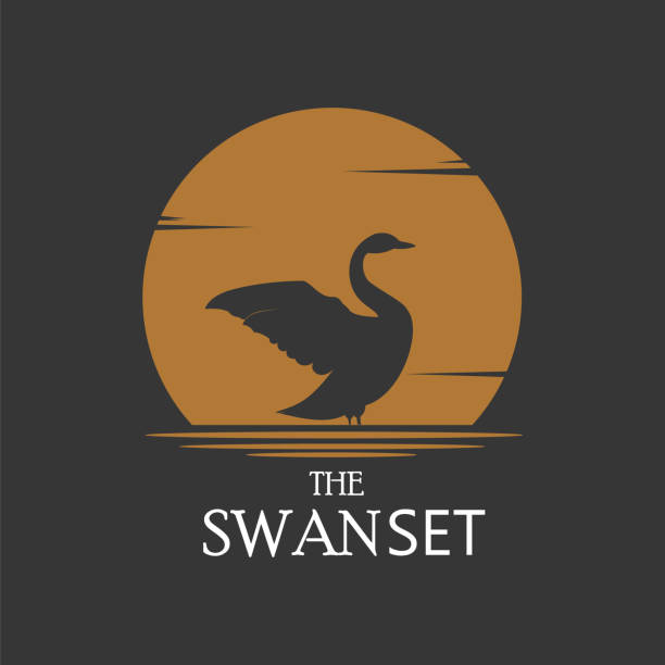 swan logo silhouette on sunset background. logo for goose farm - ördek su kuşu stock illustrations