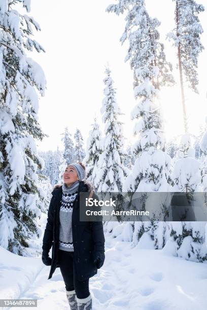 Snowy Forest Trip In Finland Stock Photo - Download Image Now - Winter, Finland, Hiking