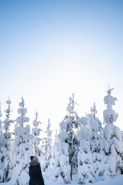 Winter wonderland hiking day
