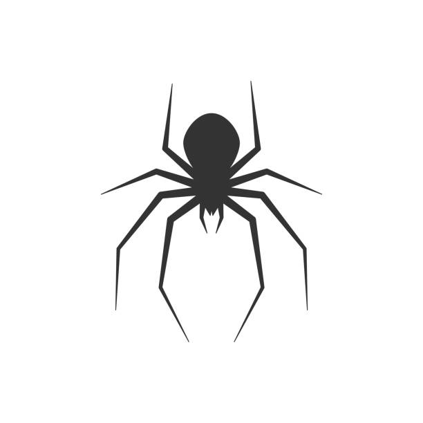 силуэт в форме паука. символ значка насекомого. векторна�я иллюстрация. - silhouette spider tarantula backgrounds stock illustrations