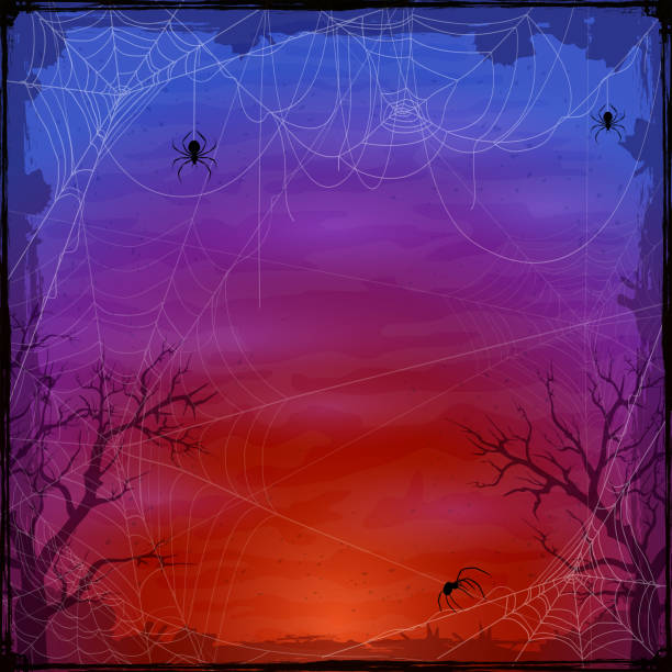 dunkler halloween hintergrund mit spinnen und netzen - frame grunge halloween backgrounds stock-grafiken, -clipart, -cartoons und -symbole