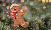 Gingerbread cookie on a fir tree. Beautiful background with copy space.